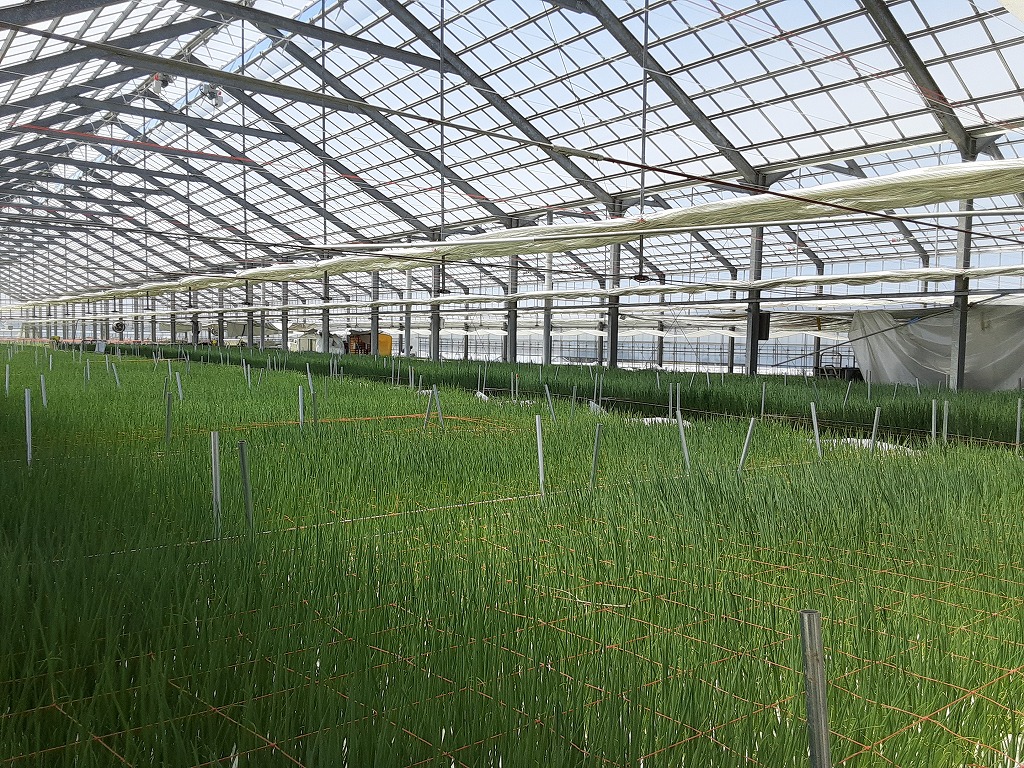 業務用生ごみ処理機ゴミサー設置しました/栽培工場